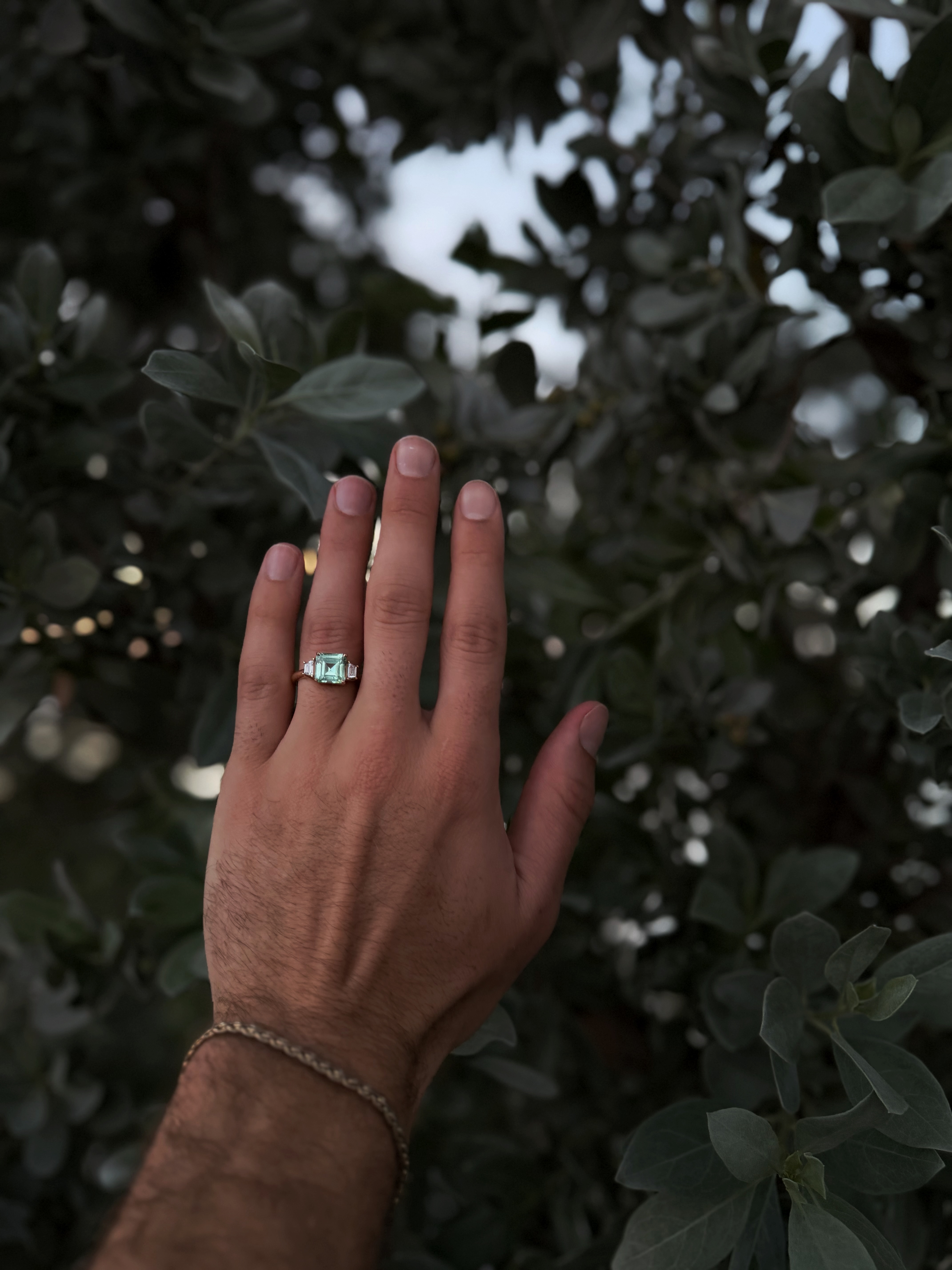 Koby and William, engagement photo 10